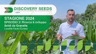 DISCOVERY SEEDS - Episodio 2: Ricerca & Sviluppo Ibridi da Granella presso località Faule (CN)