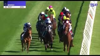 SEA KING | BENDIGO CUP 2024