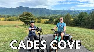 Biking Cades Cove Searching For Black Bears & Fall Colors