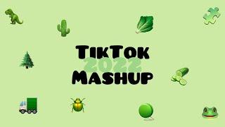 TikTok mashup songs 2022