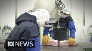 Japan passes bill to bring in foreign workers amid fears of conditions ‘close to slavery' | ABC News