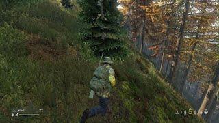 Dayz server lag or lag switch?