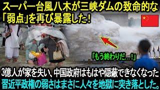 【海外の反応】三峡ダムは警戒中！中国政府の誤った政策により3億人が悲惨な運命をたどった。