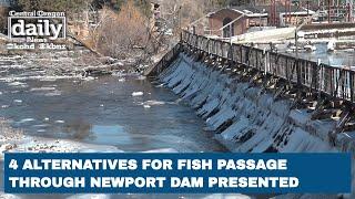 4 alternatives for fish passage through Newport Dam presented