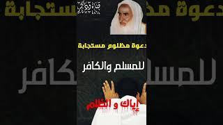 متى يكون دعاء الكافر مستجاب |وذكر #تفسير_القرآن #اكسبلور #الرحمن #قرآن