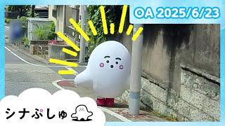 【赤ちゃんが喜ぶ】シナぷしゅ公式25/06/23│赤ちゃんが泣き止む・知育の動画