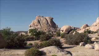 미국 조슈아 트리 국립공원 Joshua Tree National Park /암벽등반, 클라이밍(,climbing),김용기