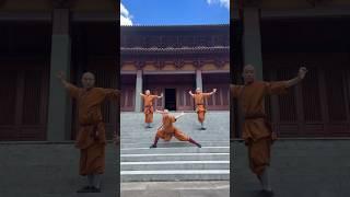 Shaolin | Trust in the flow of life 