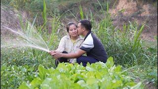 Kind man: Doctor Long always protects and accompanies Tu Yen after all the troubles / Ly Tu Yen