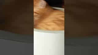 제발 도망가! 너무 중독돼