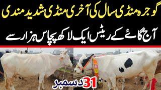 Today Gojra Maweshi Mandi | Cows Fresh Rates Update | Cow Mandi 2024