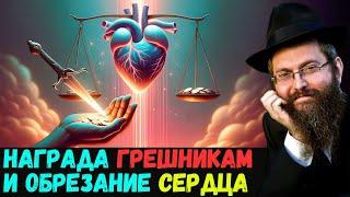 Ницавим, части4️⃣и5️⃣. Недельная глава Торы. Рав Байтман. Награда грешникам и обрезание сердца