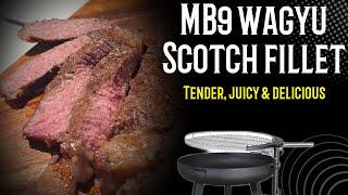 MB9 Wagyu scotch fillet over hot coals - is it worth paying the extra?