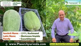 Refreshing Summer Drinks & Health Tips Special Dr. Vikram Chauhan's OPD Vlog- Colitis Patient Review