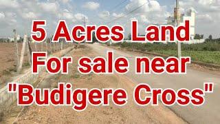 5 acres of land for sale near Budigere cross #landforsalenearbangalore #LandForSaleInBangalore