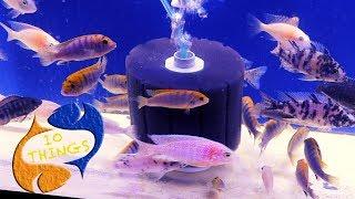 New Fish Keepers Need To Watch This! 10 Things You Should Know About Aquarium Filters