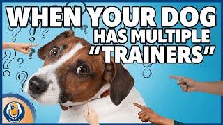 When Your Dog’s Family Members Have Different Views On Dog Training