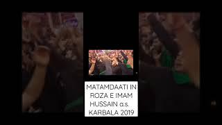 ARBAEEN 2019 | MATAMDAARI in ROZA E IMAM HUSSAIN a.s.