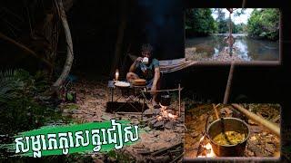 Solo Trip next toStream-Campfire Enjoyment, Lavvu andBivy overnight. របៀបធ្វើសម្លរកកូរសត្វជៀស EP 122