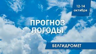 Прогноз погоды в Беларуси на 12-14 октября 2024 года