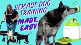 Easiest Service Dog Training Tool! Train Alerts, Lights, Closing Doors + Help w/ Mobility & Timing