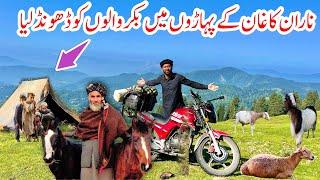 Bakrwals Mil Gaye  | Bakrwals Journey in Naran Kaghan