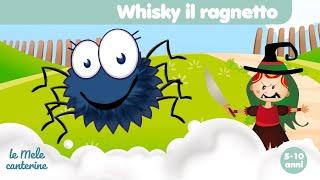 Whisky il ragnetto @Lemelecanterine