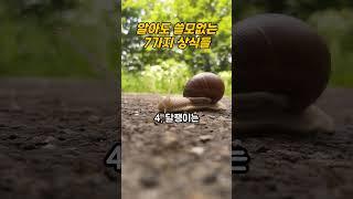 알아도 쓸모없는 7가지 상식들