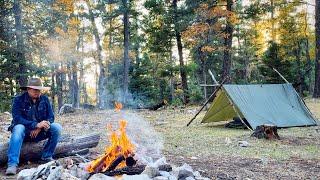 Camping Alone, Bushcraft Tarp Shelter & Caveman Breakfast!