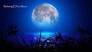 Soothing Ambiance Meditation Music, Instant Relaxation & Positive Energy, Healing Music to Calm Mind