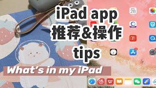 【干货】iPad英语学习 画画 娱乐app推荐｜iPad手势操作tips｜高效无纸化学习