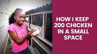 How I keep 200 Chicken in a Small space#chicken coop