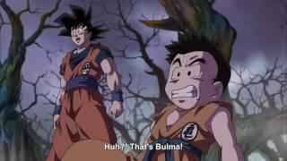 Bulma, everyone's biggest fear