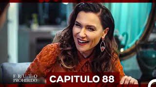 Fruto Prohibido Capitulo 88 (Doblado en Español)