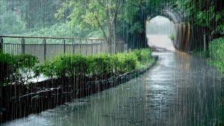 Healing Rain Sounds to Comfort the Heart. Healing White Noise that Relieves the Fatigue of the Day