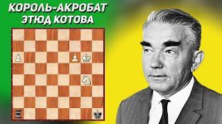 Король акробат. Шахматный этюд Котова 1945 год. Шахматная композиция. Шахматные этюды с решениями