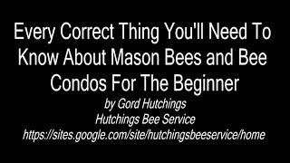 Every Correct Thing You'll Need To Know About Mason Bees and Bee Condos For The Beginner