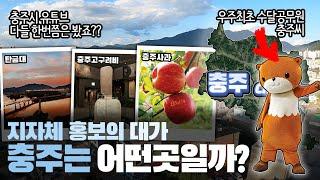 [충주] 지자체 홍보의 대가 충청북도 충주시는 어떤 곳일까? 자세하게 알아보자! (feat. 홍보맨)