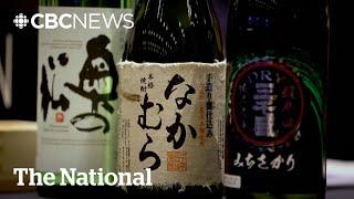 International demand for sake surges, driving up sales