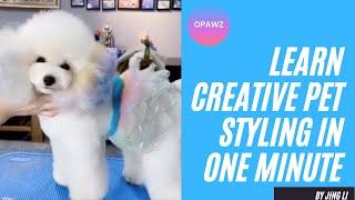 Learn Creative Pet Styling In One Minute - OPAWZ Creative Grooming Tutorial