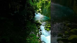 "Krang Suri Waterfall: Meghalaya's Hidden Paradise!