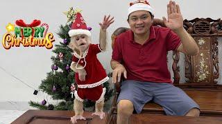 Kyo and Dad's special Christmas – Unforgettable wishes!