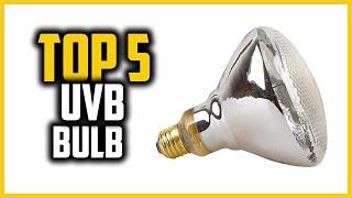 Top 5 Best UVB Bulb For Bearded Dragon in 2023