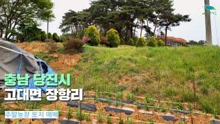 [신바람 오늘의 매물]충남 당진시 고대면 장항리 주말농장 토지 매매