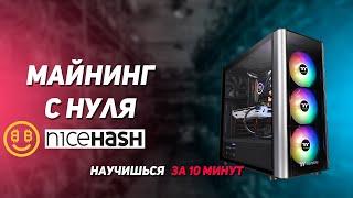 Майнинг с нуля Nicehash