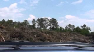 Damaged Trees at Smithfield NC Landfill