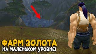 Фарм золота в World of Warcraft Classic на маленьком уровне!