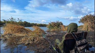 Фідерна риболовля на річці. Ловля плотви, ляща, густери. Рибалка на Дністрі 2024