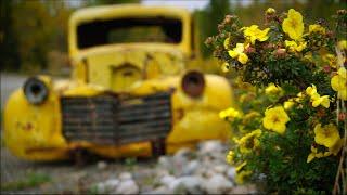 Trucks of the Canol Road.  Abandoned USA WWII Trucks in Canada