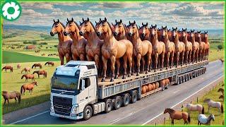 Transporting Horse This Way - The Biggest Heavy Machinery | Agriculture Technology